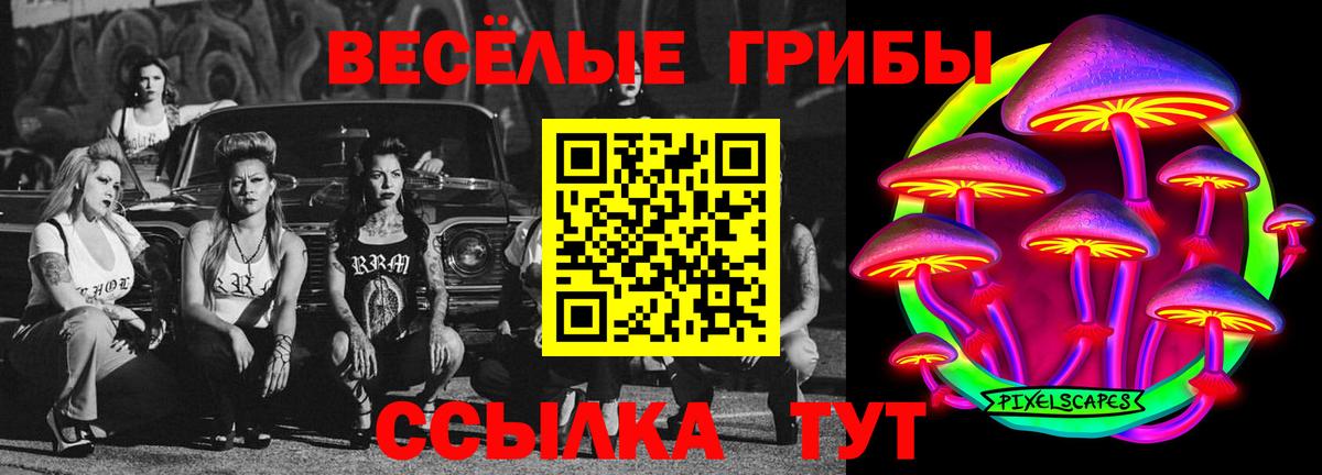 Архангельск  Галлюциногенные грибы прущие грибы  Вход с VPN 
